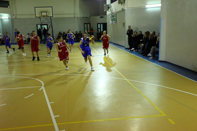 Basket 443023